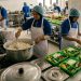Tiga Dapur SPPG di Kota Serang Belum Punya SLHS