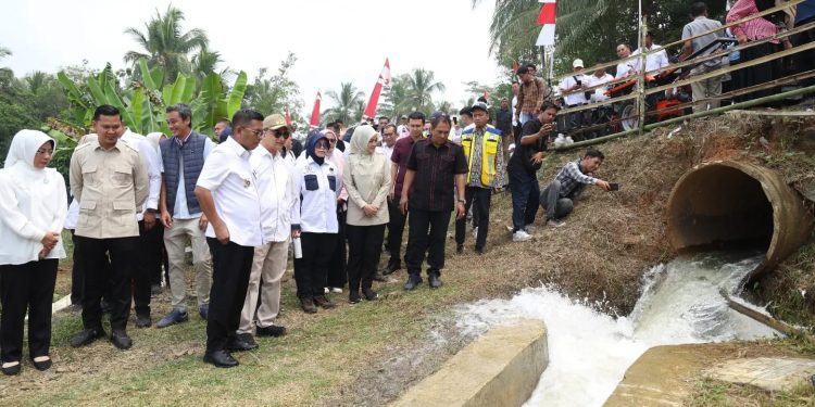 7 Daerah Irigasi Banten Direvitalisasi, Layani 881 Hektare Sawah