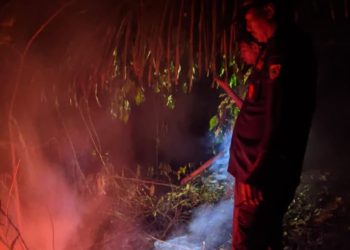 Kebakaran Lahan Seluas 1,6 Hektar di Cadasari Pandeglang Nyaris Merembet ke Permukiman