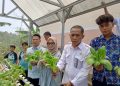SPPG Lebak Leuwidamar Cibungur Serap Pakcoy Hidroponik Hasil Budidaya Sekolah