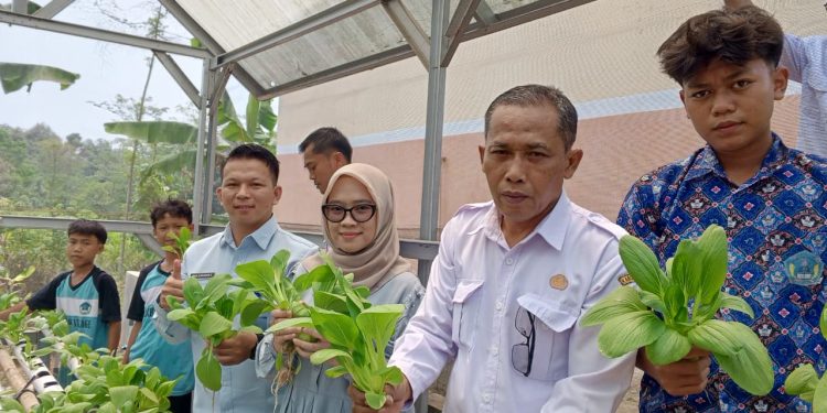 SPPG Lebak Leuwidamar Cibungur Serap Pakcoy Hidroponik Hasil Budidaya Sekolah