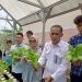 SPPG Lebak Leuwidamar Cibungur Serap Pakcoy Hidroponik Hasil Budidaya Sekolah