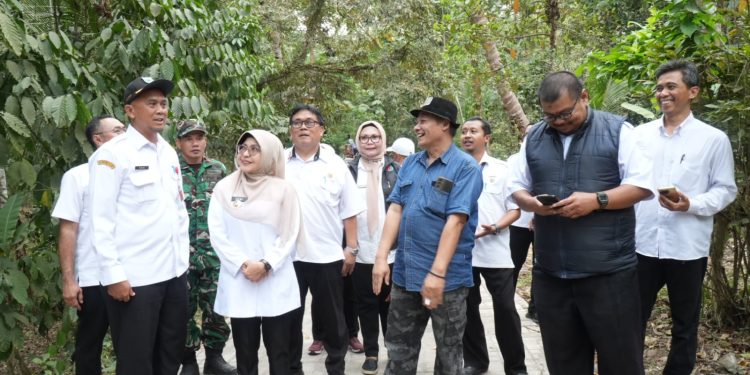 Bupati tinjau pembangunan jalan