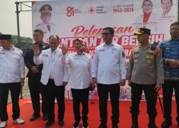 Pembentukan Relawan Sibat