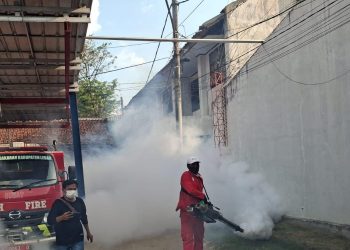 kasus dbd di lnak