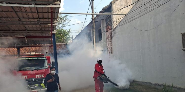 kasus dbd di lnak