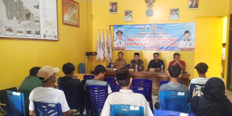 Pembangunan irigasi pertanian