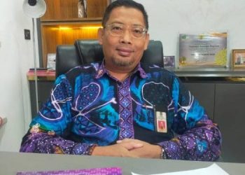 Pengangkatan PPPK paruh waktu