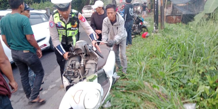 Pohon Tumbang Timpa Pengendara Motor, Satu Tewas, Satu Luka Berat