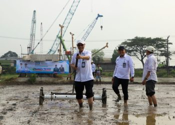 Momen HUT ke-500 Kabupaten Serang, DKPP Tanam 500 Hektare Padi dan Vaksin 500 Ternak