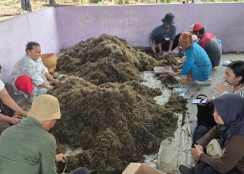DPKP Kabupaten Tangerang Gandeng BRIN Tingkatkan Produktivitas Padi dan Efisiensi Pupuk