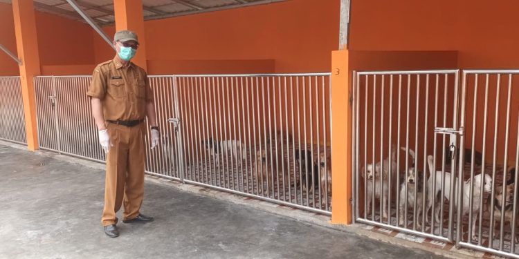 Vaksin Rabies