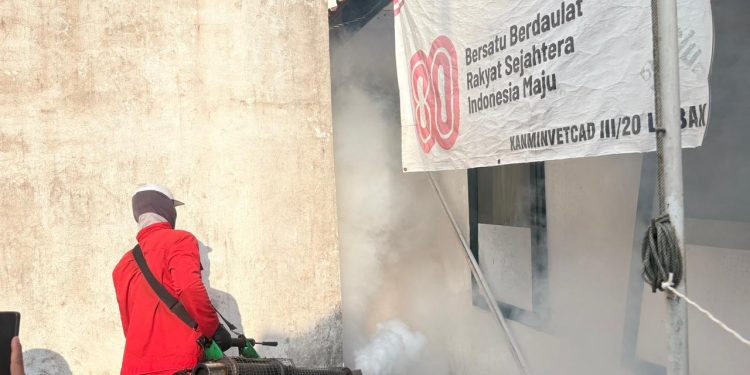 kasus dbd di kabupaten Lebak