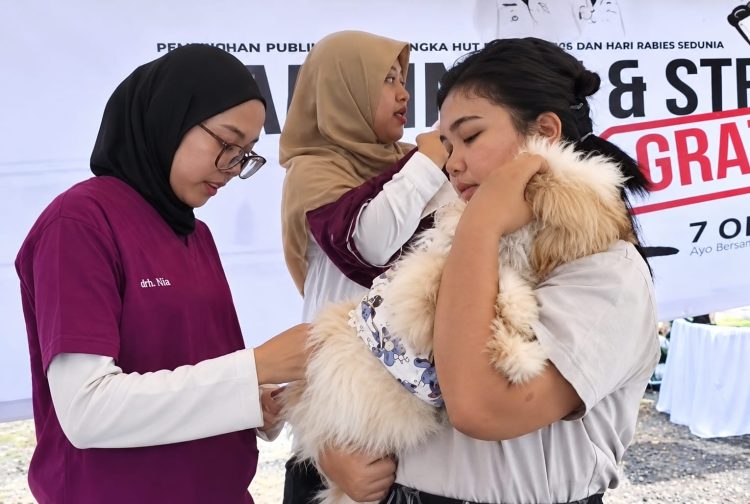 Kasus Gigitan Hewan di Banten