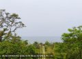 Gunung Anak Krakatau Siaga