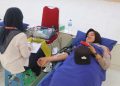 donor darah