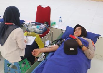 donor darah