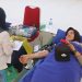 donor darah
